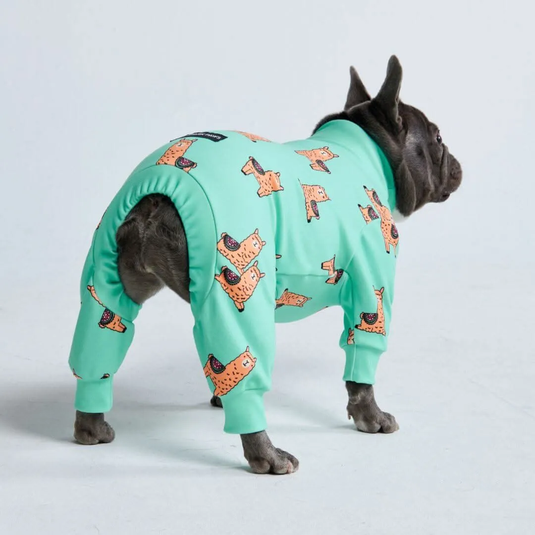 Dog Pajama Prints