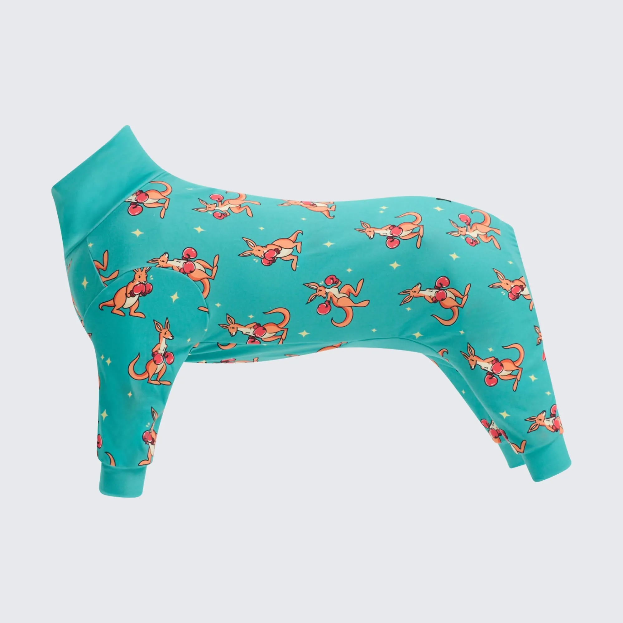 Dog Pajama Prints