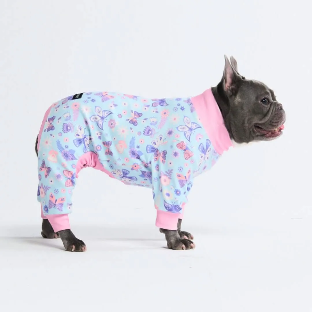 Dog Pajama Prints