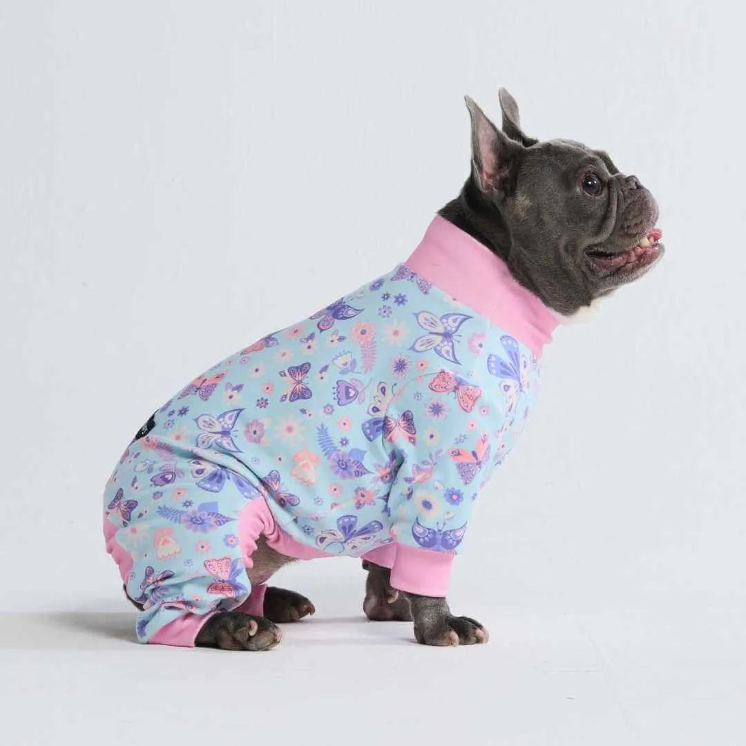 Dog Pajama Prints