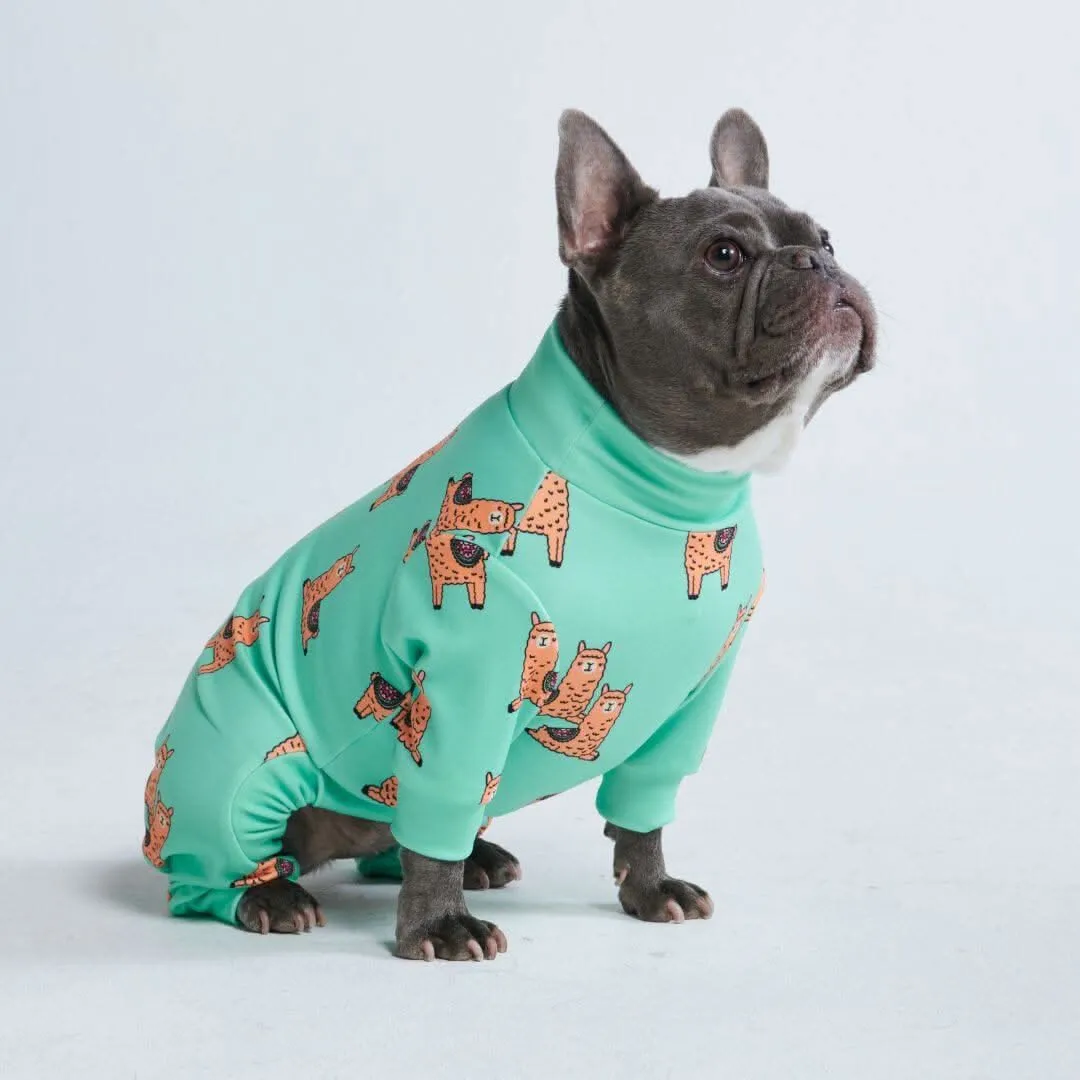 Dog Pajama Prints