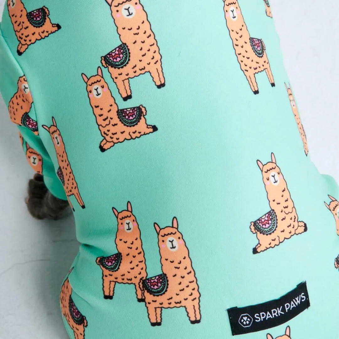 Dog Pajama Prints