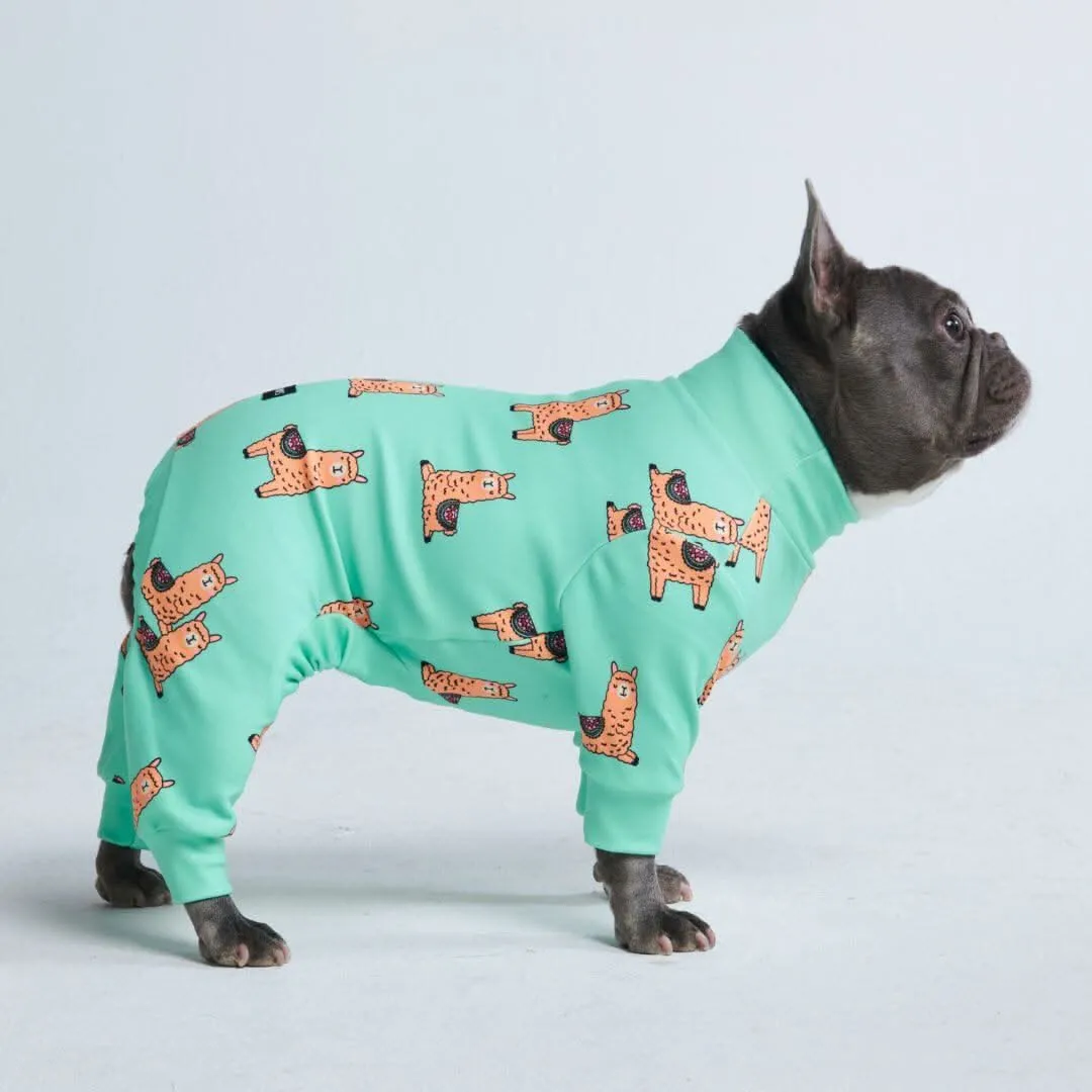 Dog Pajama Prints