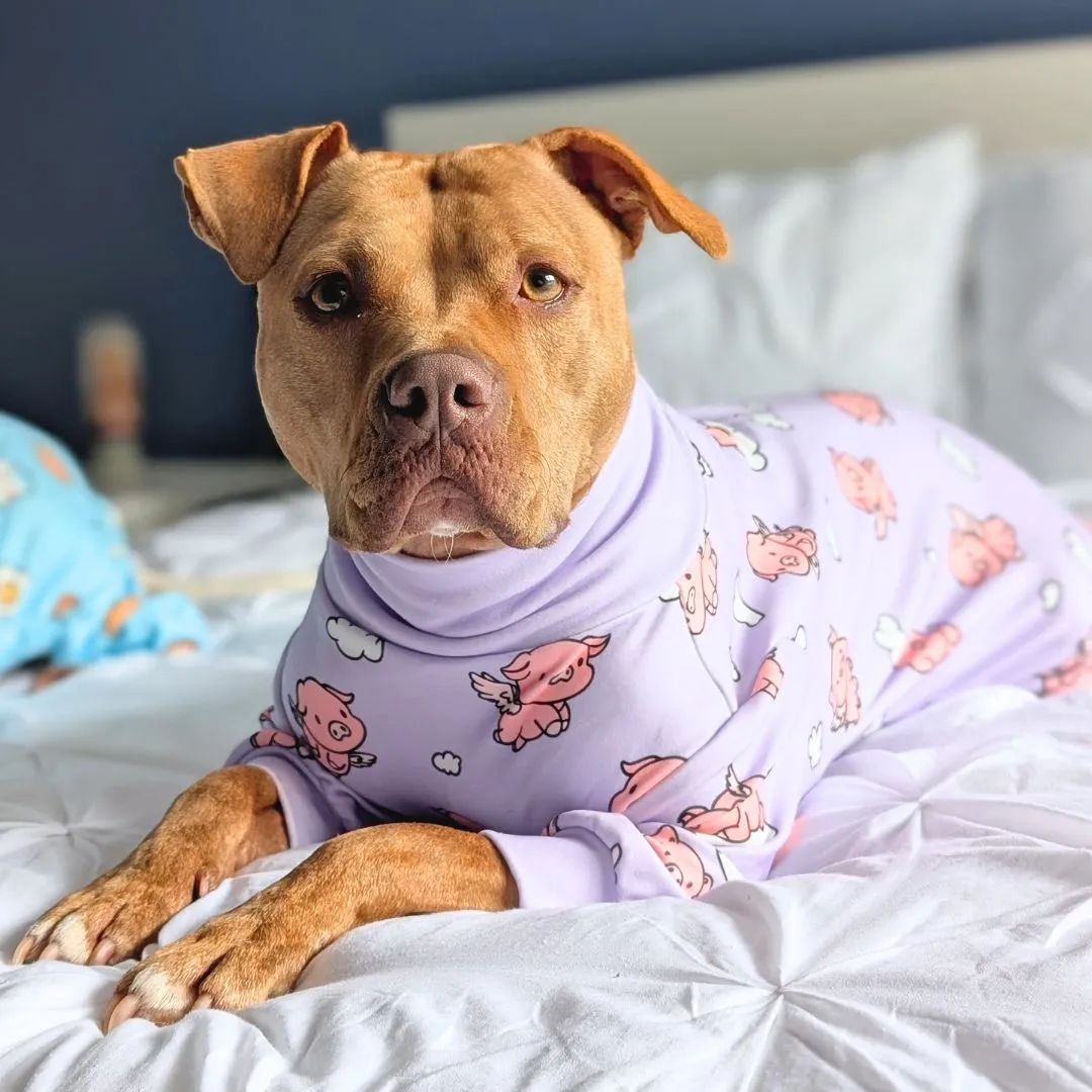 Dog Pajama Prints