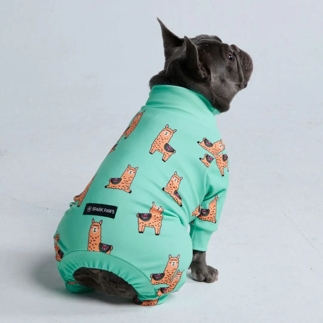 Dog Pajama Prints